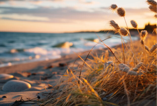 SeaStar Butik&Bungalov Otel İletişim